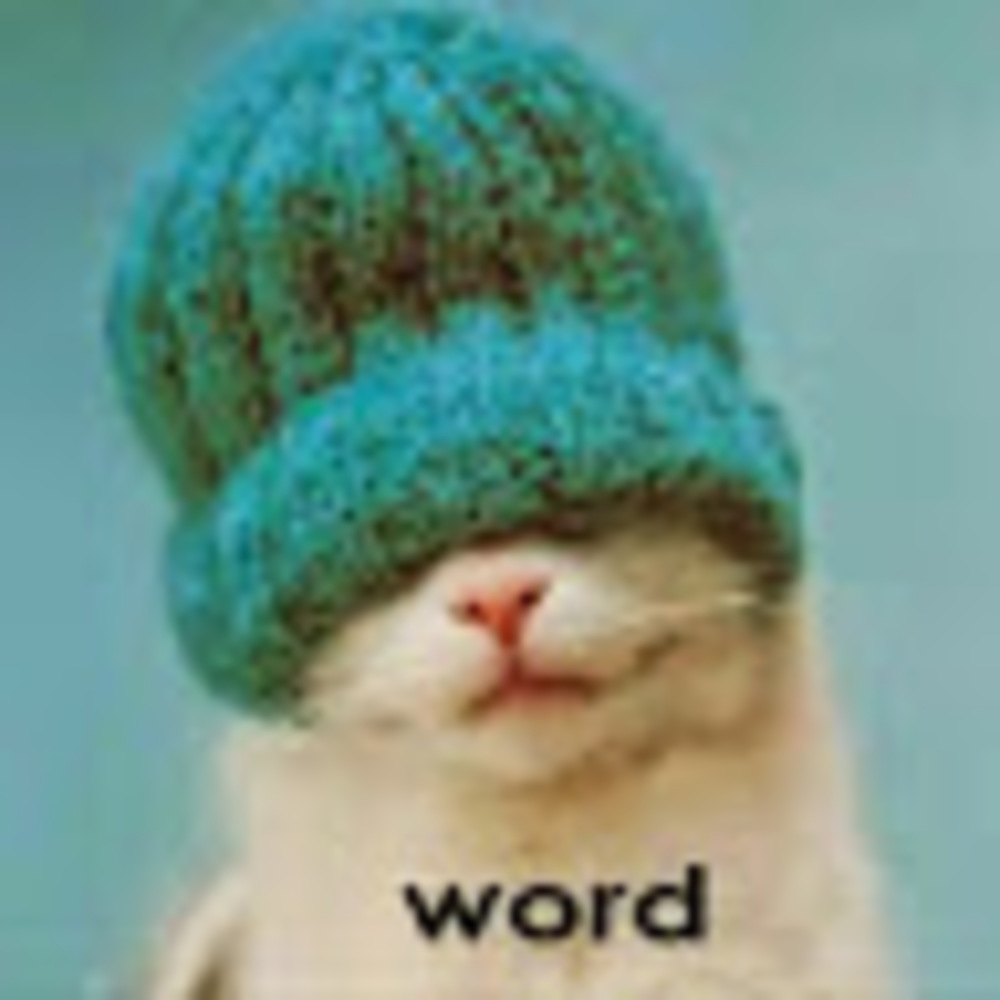 Meet your Posher, Rosalinda